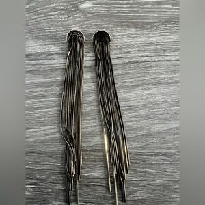 Express  Earrings